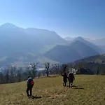 Bergblick105m2 Im National Kalkalpen Region 公寓 Losenstein