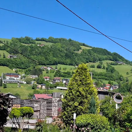 Apartment Bergblick Im National Kalkalpen 12leute *